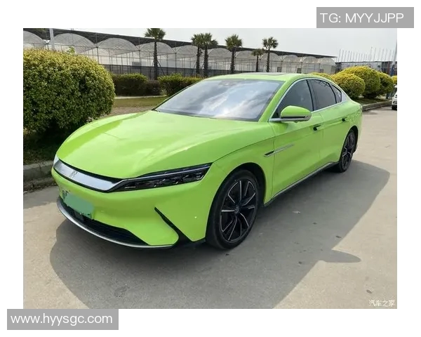 比亚迪汉与巴西足球明星携手共创绿色出行新篇章