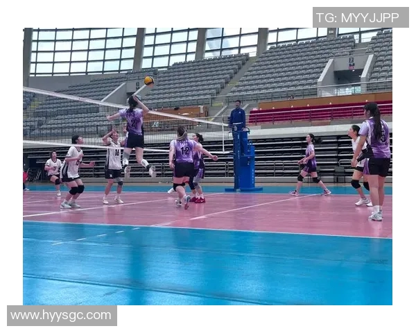 深入分析上海排球队的转换打法及其战术优势与应用