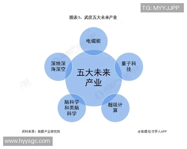武汉足球队技术分析与战术创新的深度探讨与未来展望