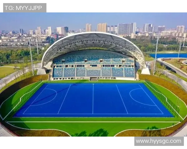 杭州排球队的运营策略深度分析与发展前景展望