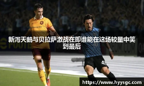 新泻天鹅与贝拉萨激战在即谁能在这场较量中笑到最后